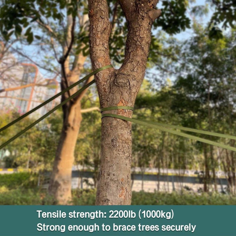 تين ويل حزام دعم شجرة Tenn Well مقاس 65 قدمًا × 1 بوصة من أجل ربط حبل شجرة نايلون لدعم استقامة النبات (قوة خضراء تبلغ 2200 رطل) - Image 4
